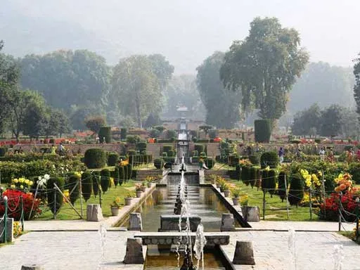 Shalimar Garden call girls